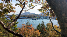 Load image into Gallery viewer, Maine Adventure! - Acadia - Seven Day Itinerary
